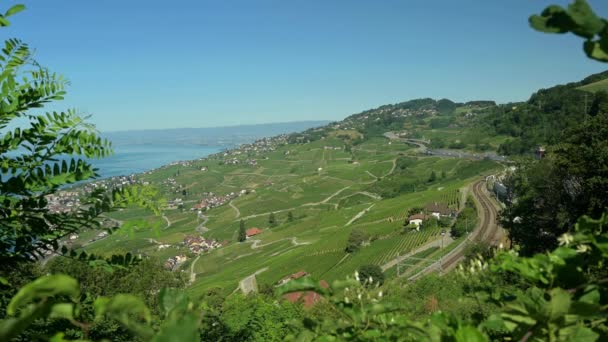 Real Time Highway Lavaux Vineyard Lake Geneva Puidoux Vaud Canton — Video Stock