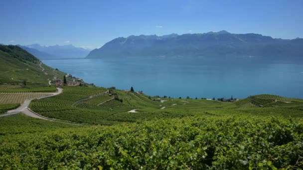 Landscape Lake Mountain Vineyard Time Lapse Lavaux Vineyard Lake Geneva — 图库视频影像