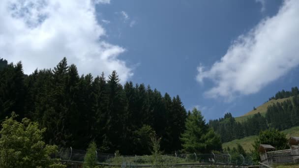 Summer Toboggan Alpine Coaster Switzerland Time Lapse Amusement Park — Stock video