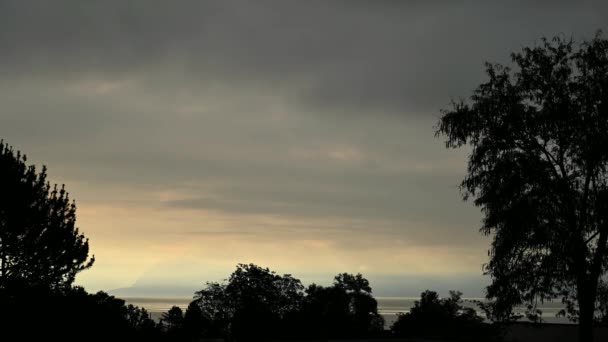 Paisaje Árboles Nubes Lago Tiempo Transcurre Día Nublado Lausana Suiza — Vídeos de Stock