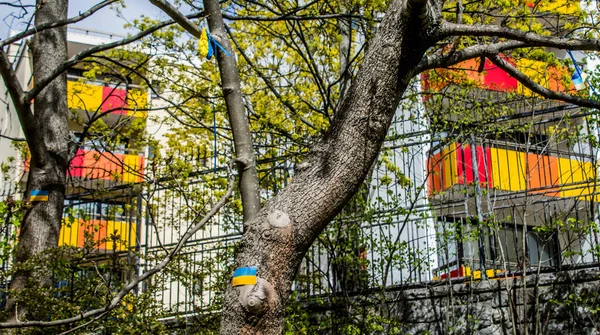 Stockholm, İsveç 'te Ukrayna' daki savaşa karşı protesto. Her çarşamba öğle yemeğinde Rus elçiliğinde bir protesto var. Elçiliğin etrafında Ukrayna 'da neler olduğunu hatırlatacak bir sürü bayrak, balon ve el ilanı var..