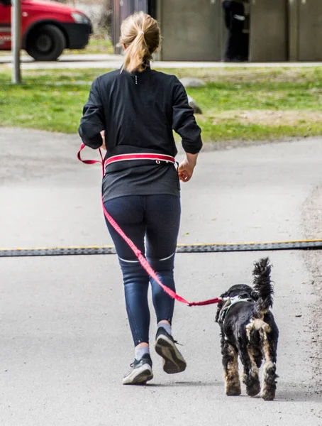 Stockholm, İsveç 'te tasmalı bir köpekle koşan bir kadın..