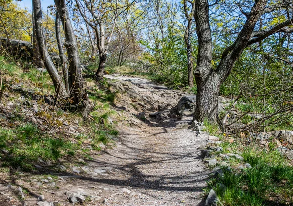 Eski hapishane adası Langholmen 'deki Parkway. Stockholm, İsveç' in merkezi..
