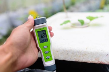 Hidroponik sistemindeki su kutusunun pH değerini kontrol et