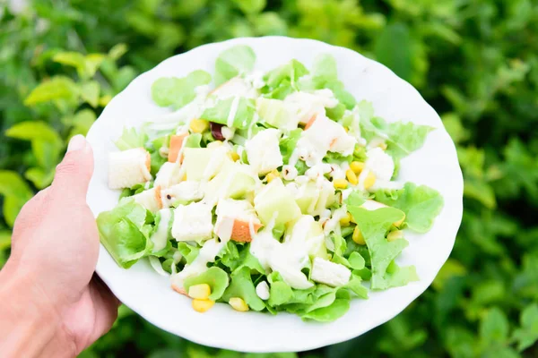 在白菜中混合新鲜蔬菜沙拉 — 图库照片
