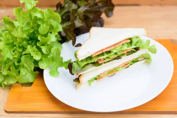 Jamón Sándwich Plato Blanco — Foto de Stock