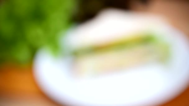 Turn Focus Sandwich Tuna White Dish — Vídeo de Stock