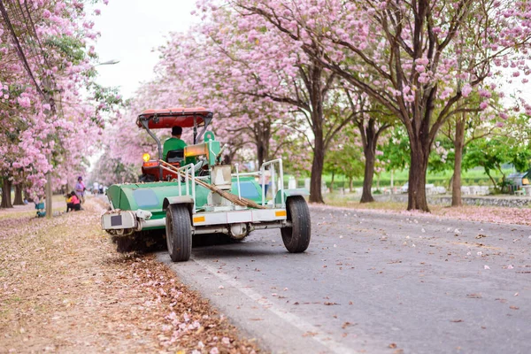 Cleaning Truck Road Pink Trumpet Tree Row — Stock Photo, Image