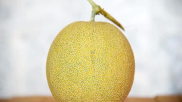 Drehen Sie Die Ansicht Der Frischen Grünen Melone Auf Holzplatte — Stockvideo