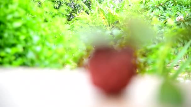 Zaostřit Růžový Pudink Jablko Dřevěné Desce — Stock video