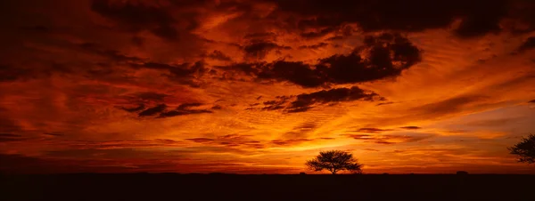 Zonsondergang — Stockfoto