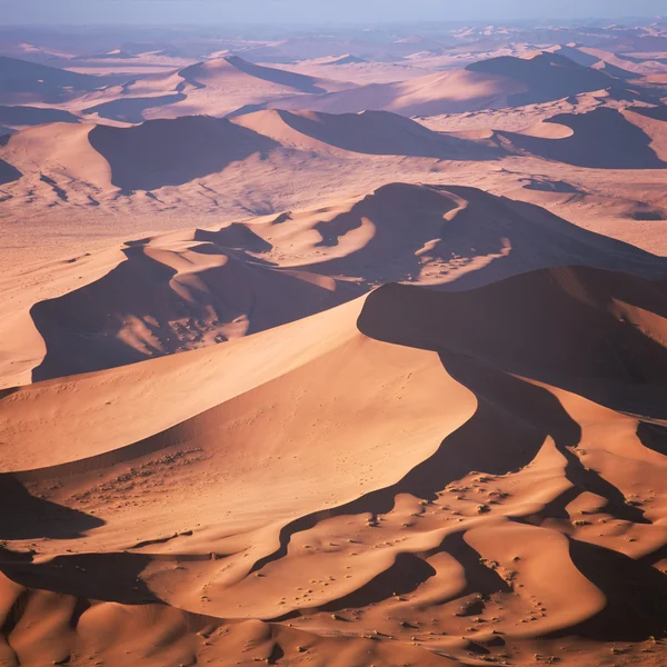 Deserto — Fotografia de Stock