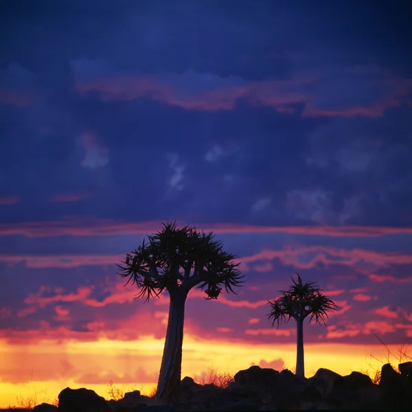 Pôr do sol — Fotografia de Stock