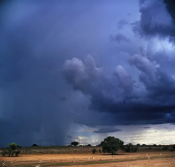 Stormy blue clouds