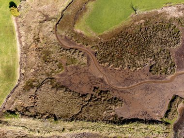 Bir sulak arazinin havadan görünüşü şekiller ve soyut formlar oluşturdu