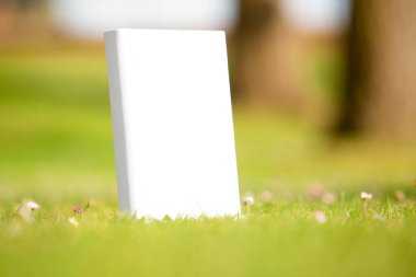 Book with a blank cover seen from above on a lawn with daisies.