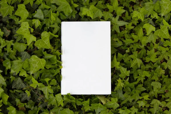 Book Blank Cover Seen Lawn Daisies — Photo