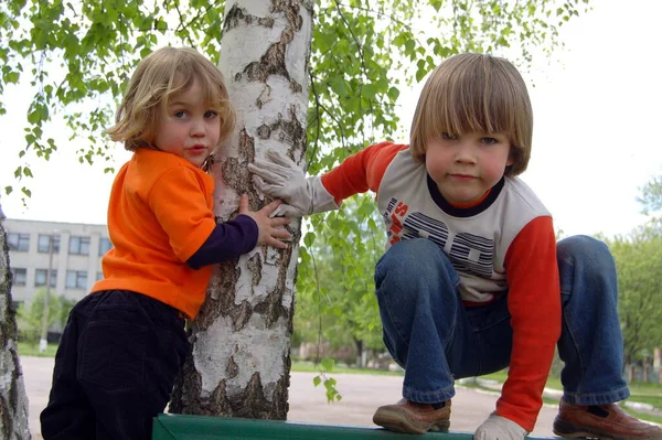 Πορτρέτο Των Παιδιών Αγόρια Παίζουν Στο Πάρκο Ένα Δέντρο Μαζί — Φωτογραφία Αρχείου