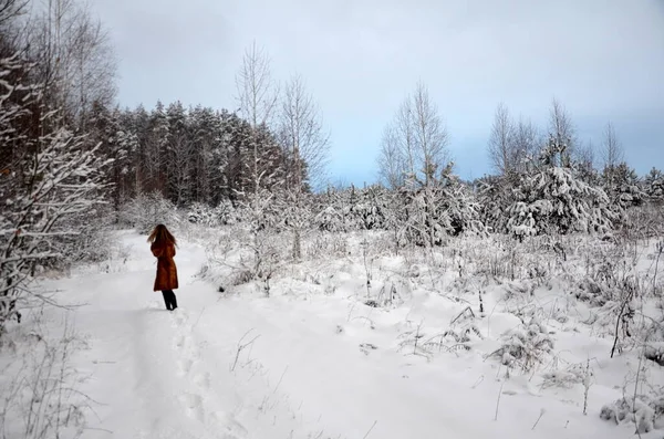 Пейзаж Зимний Лес Покрытый Снегом Женщина Шубе Идущая Вдалеке — стоковое фото