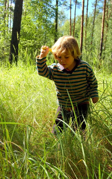 Kind Jongen Spelen Het Gras Het Bos Zomer — Stockfoto