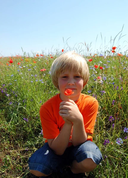 Портрет Хлопчика Червоною Маковою Квіткою Руках Тлі Літнього Поля — стокове фото