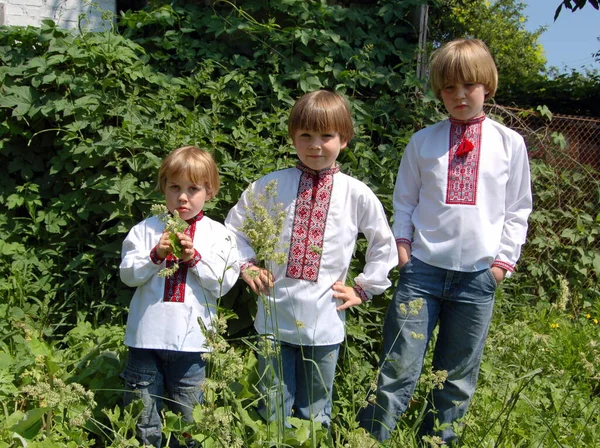 Crianças Meninos Irmãos Camisas Ucranianas Bordadas Juntos Natureza Verão — Fotografia de Stock