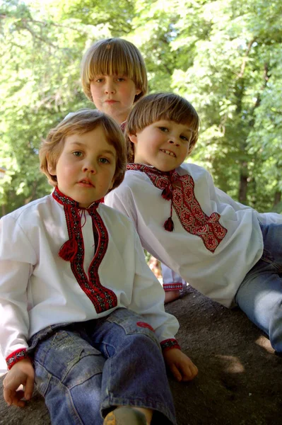Porträtt Barn Pojkar Bröder Ukrainska Broderade Skjortor — Stockfoto