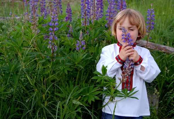 Портрет Хлопчика Української Вишивки Серед Квітів Влітку — стокове фото