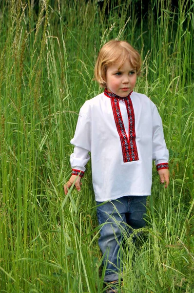 Портрет Хлопчика Української Вишивки Відкритому Повітрі Траві — стокове фото