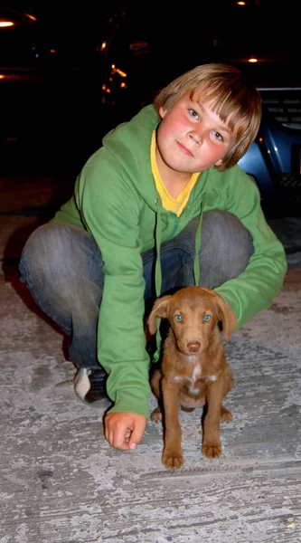 Portrait Child Boy Puppy Evening — 스톡 사진
