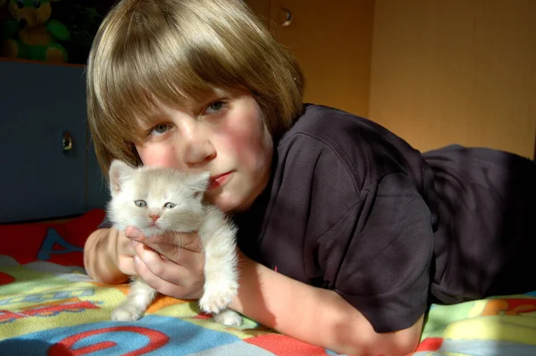 Retrato Menino Com Pequeno Gatinho Branco Fofo Casa — Fotografia de Stock