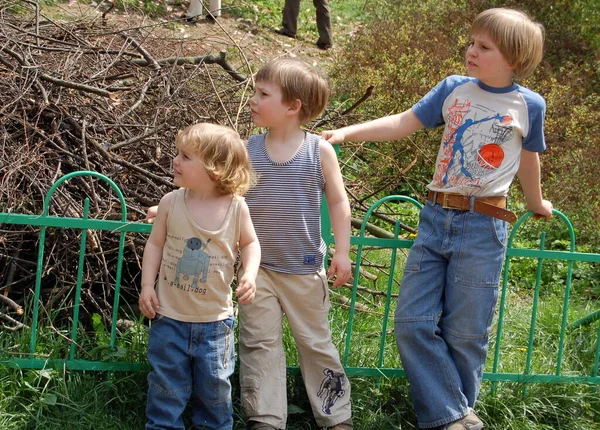 Παιδιά Αγόρια Αδέλφια Μαζί Μια Βόλτα Στο Πάρκο Καλοκαίρι — Φωτογραφία Αρχείου