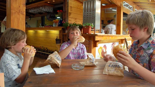 Children Boys Brothers Eating Sandwiches Together — Stockfoto