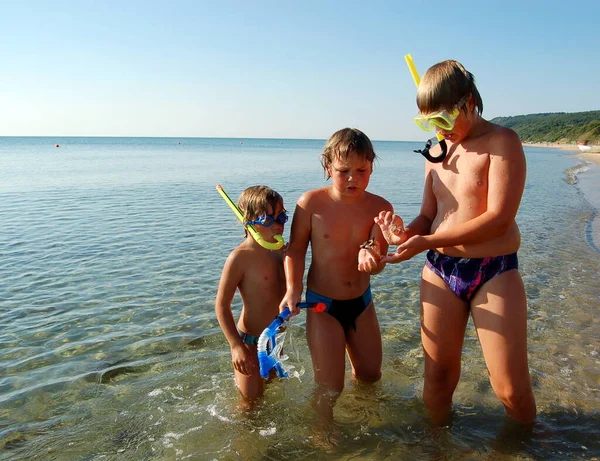 Children Boys Brothers Together Sea Summer Vacation — Photo
