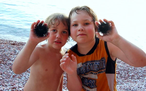 Портрет Дітей Хлопчиків Пляжі Морськими Їжаками — стокове фото