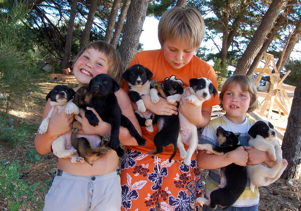 Portrait of children boys with little puppies in nature in summer