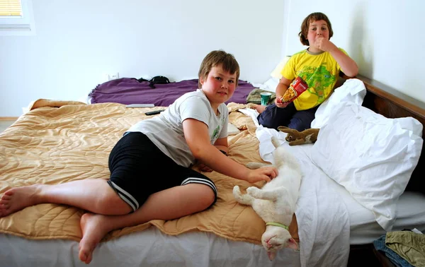 Παιδιά Παίζουν Μια Γάτα Στο Δωμάτιο — Φωτογραφία Αρχείου