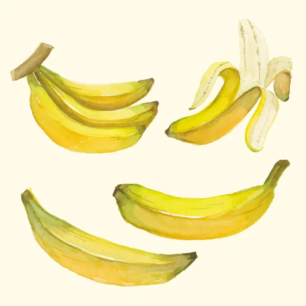 Banane Aquarelle Fruit Fond — Image vectorielle