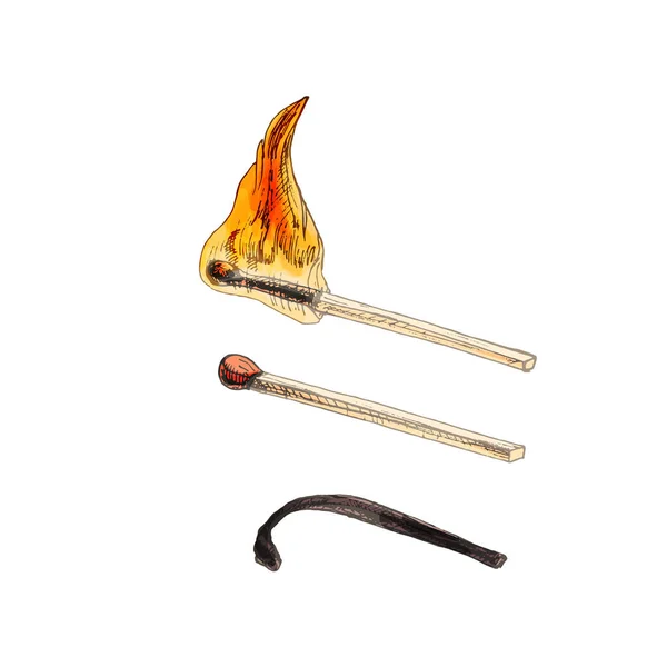 Drie soorten lucifers: heel, brandend, verbrand. Vintage vectoruitbroeden — Stockvector