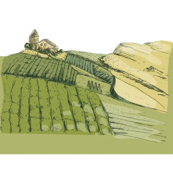 Krajobraz wiejski z polami willi i winnicy. Vintage wylęgu kolorów — Wektor stockowy