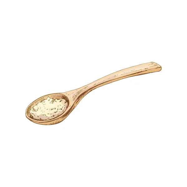 Wooden spoon with crushed piece salt. Vintage vector hatching — Stock Vector