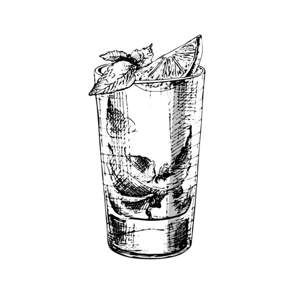 Cóctel Mojito con lima y menta en vaso de tubo. Vintage eclosión vector — Archivo Imágenes Vectoriales