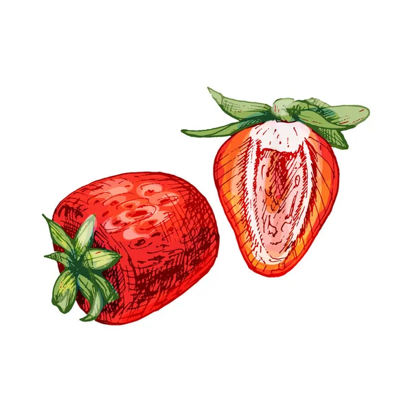 Entero y rebanada de fresa. Ilustración plana de color vectorial — Archivo Imágenes Vectoriales