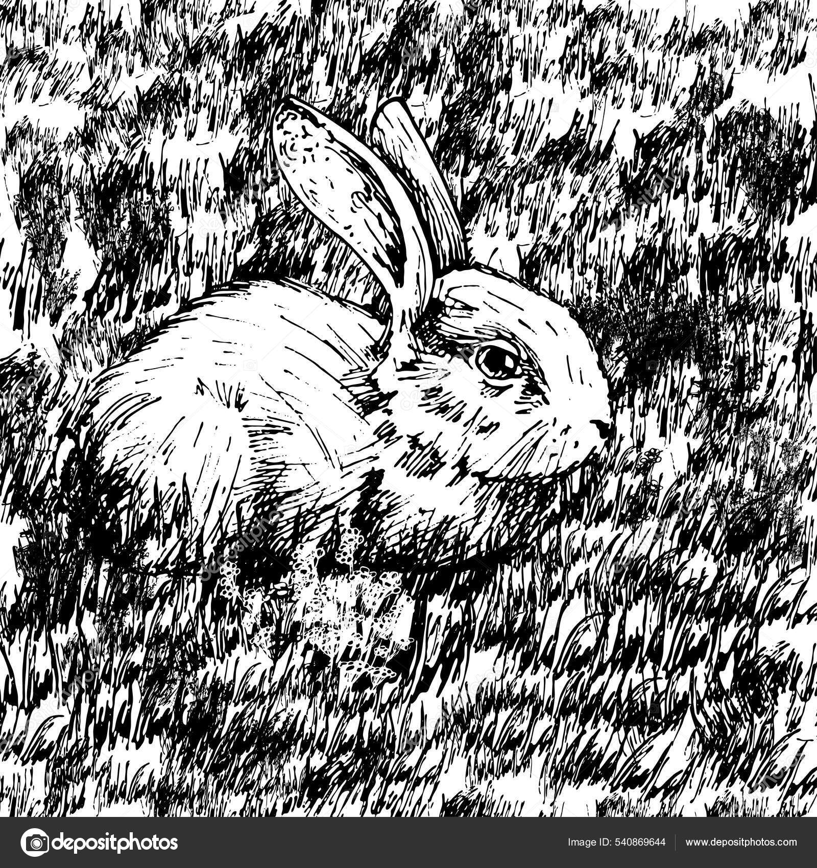 Lying Rabbit Vector Vintage Hatching Black Illustration Isolated White ...