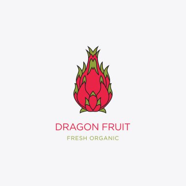 Ejder Meyvesi ikonunun düz stili. Ayrı bir nesne. Ejderha meyvesi logosu.