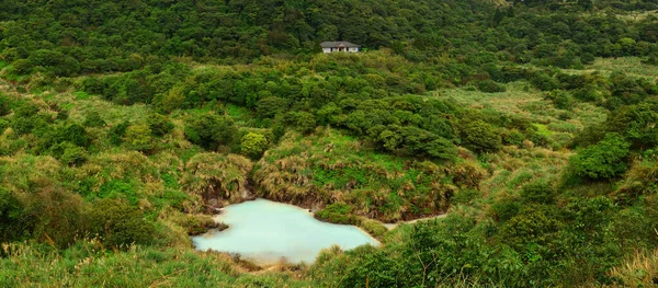 Ormanın ortasında bulunan rüya gibi ve sütlü beyaz göl.