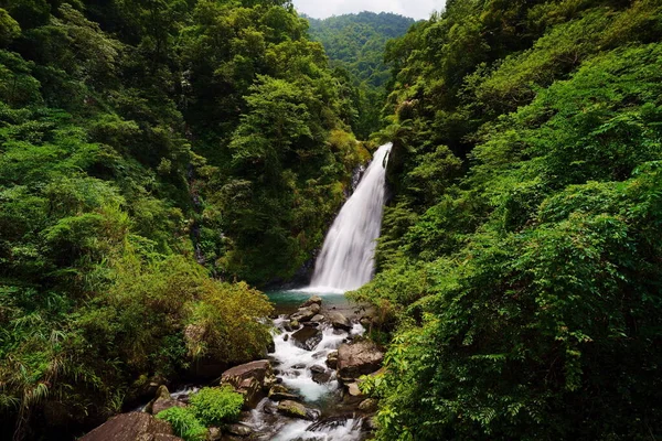 Cascada Fluye Desde Centro Del Bosque — Foto de Stock