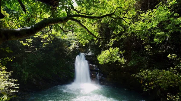 Awesome Waterfall Refresh Whole Forest — Stock Photo, Image