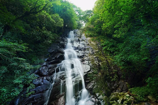 Awesome Beautiful Waterfall Splashed Rock Wall — Photo