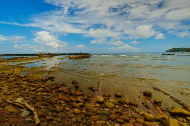 Sahilde bir yürüyüşe çık.